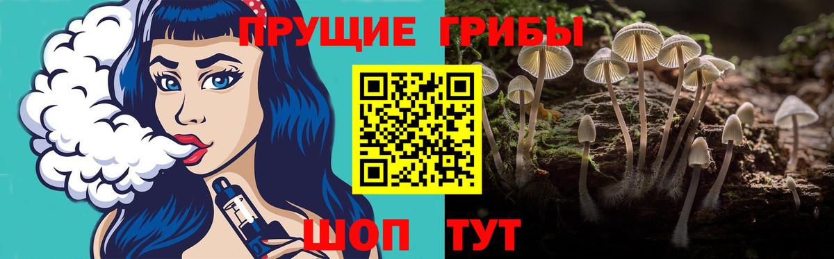 Галлюциногенные грибы мухоморы Санкт-Петербург